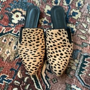 Jenni Kayne Ponyhair Miles